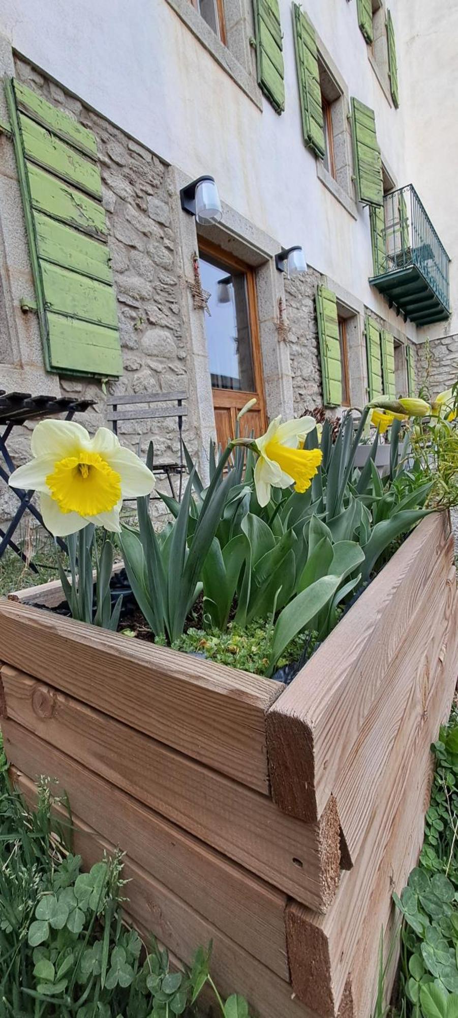 Le Grenier Des Moineaux Bed & Breakfast Font-Romeu-Odeillo-Via Eksteriør bilde